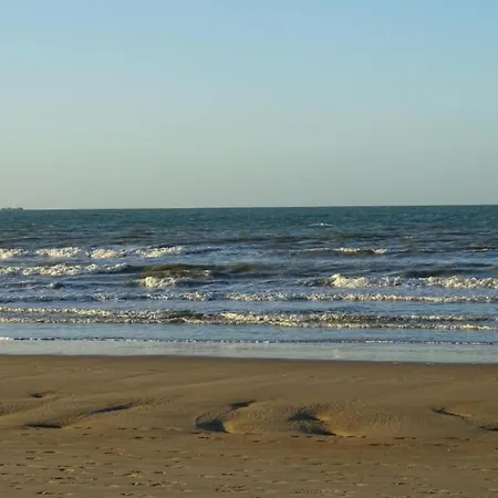 In Near The Marina *