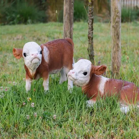 In Near The Marina * Nieuwpoort