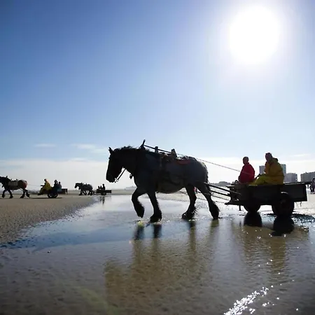 Lägenhet In Near The Marina