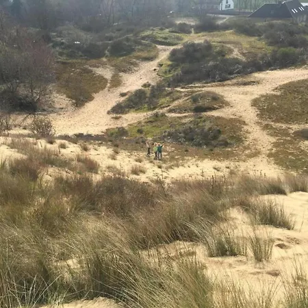 In Near The Marina *